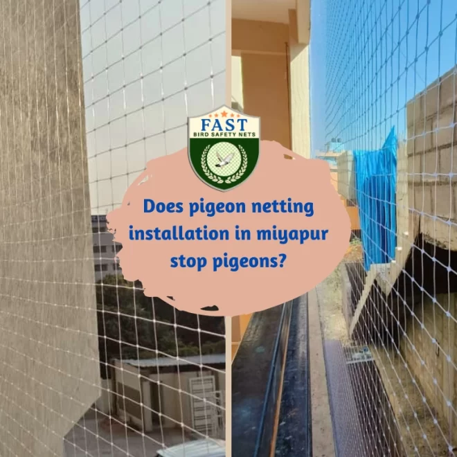 Does pigeon netting installation in miyapur stop pigeons?