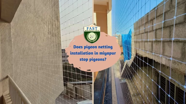 Does pigeon netting installation in miyapur stop pigeons?