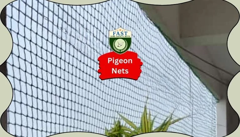 Pigeon Nets