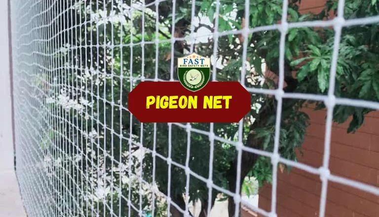 Pigeon Netting in Hyderabad