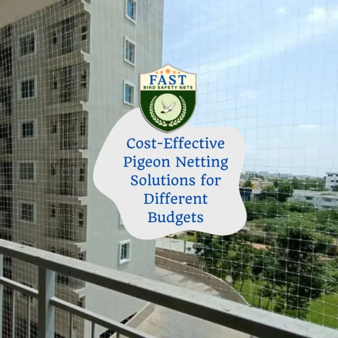 Cost-Effective Pigeon Netting Solutions for Different Budgets