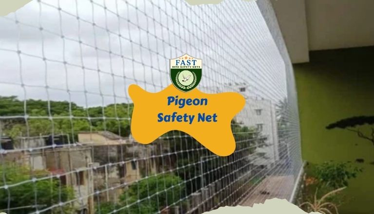 pigeon netting service