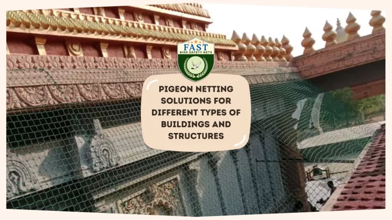 Pigeon Netting Solutions for Different Types of Buildings and Structures