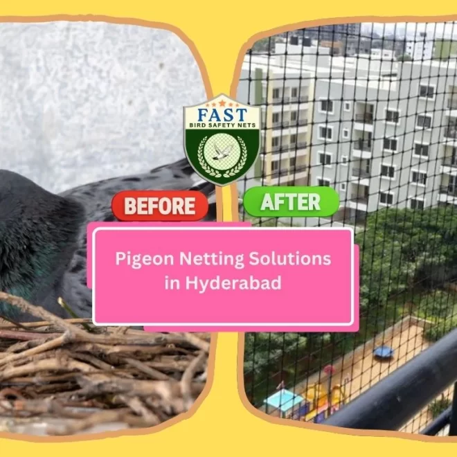 Pigeon Netting Solutions Available Near Hyderabad