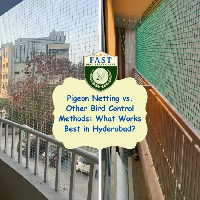 Pigeon Netting vs. Other Bird Control Methods: What Works Best in Hyderabad?