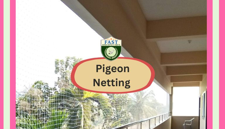 Pigeon Netting