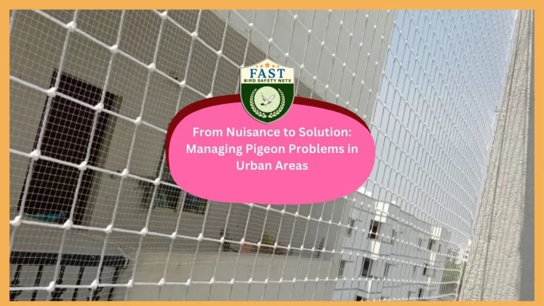 From Nuisance to Solution: Managing Pigeon Problems in Urban Areas