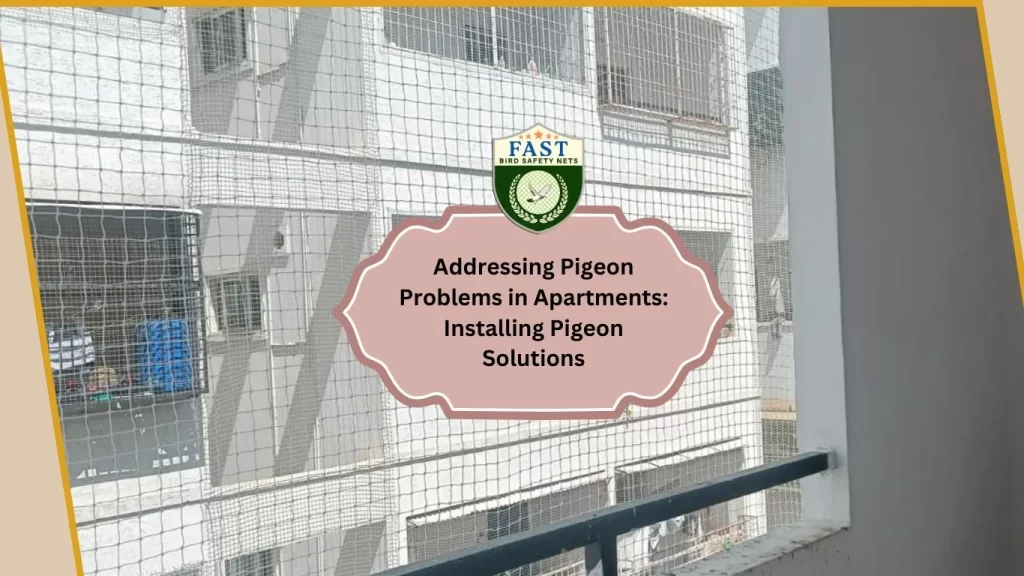 Pigeon Problems in Apartments