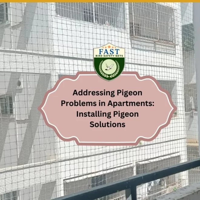 Addressing Pigeon Problems in Apartments: Installing Pigeon Net Solutions