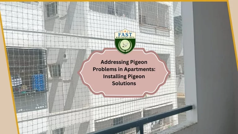 Addressing Pigeon Problems in Apartments: Installing Pigeon Net Solutions