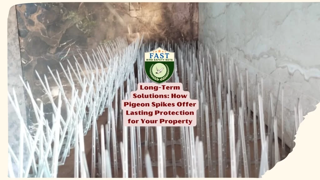 pigeon proofing spikes hyderabad