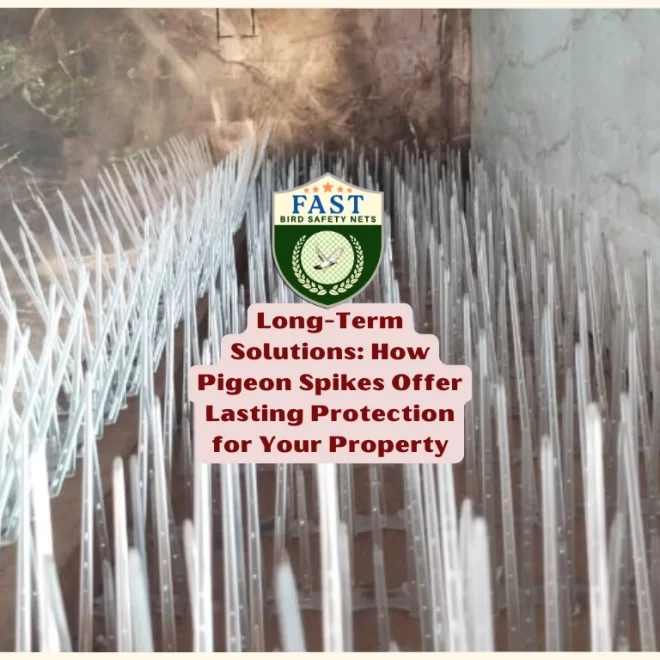 Long-Term Solutions: How Pigeon Spikes Offer Lasting Protection for Your Property