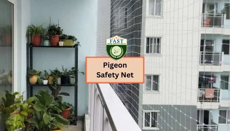 Pigeon Safety Nets