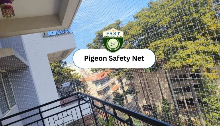 pigeon-safety-nets