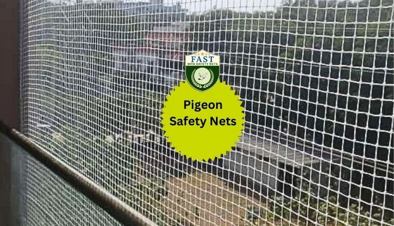 Pigeon Safety Nets