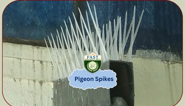 pigeon spikes