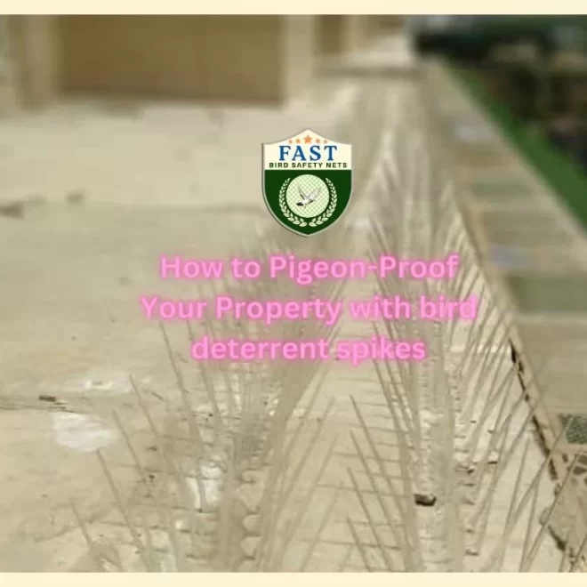 How to Pigeon-Proof Your Property with bird deterrent spikes