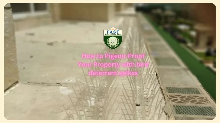 How to Pigeon-Proof Your Property with bird deterrent spikes