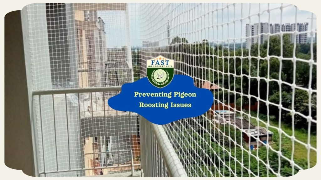 Preventing Pigeon Roosting Issues