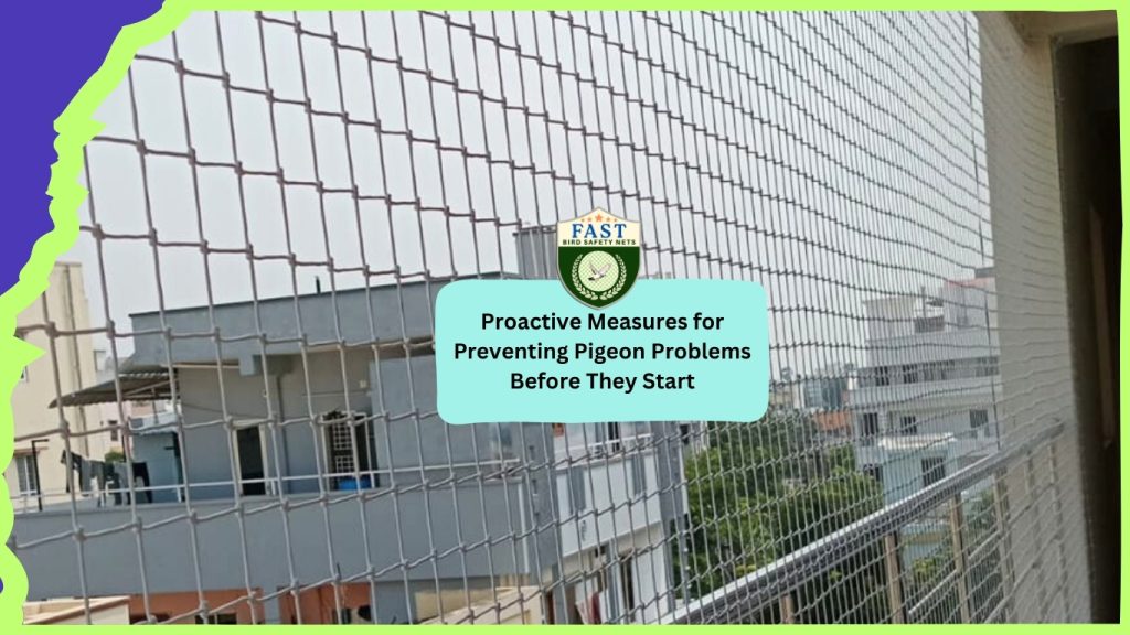 Proactive Measures for Preventing Pigeon Problems