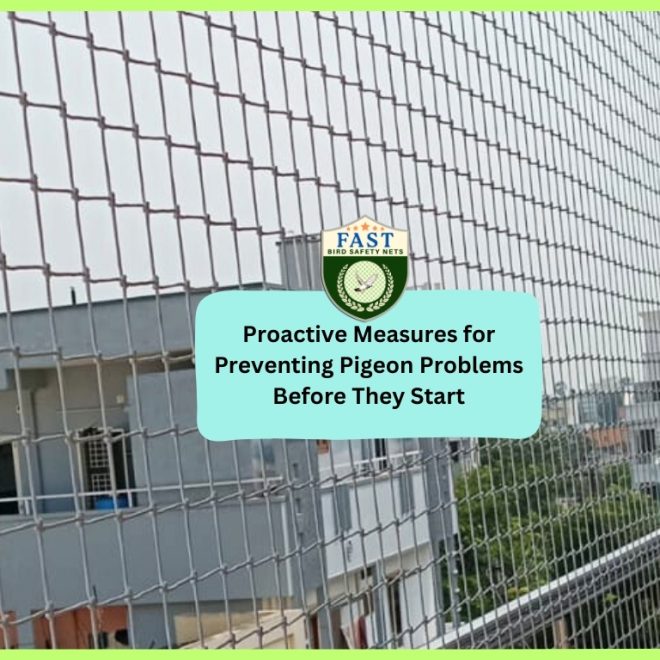 Proactive Measures for Preventing Pigeon Problems Before They Start