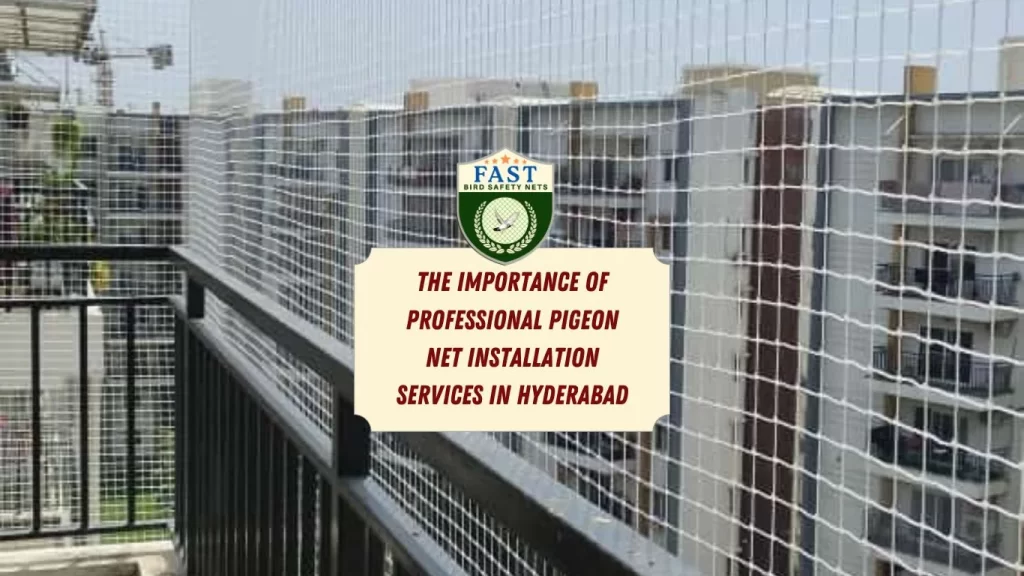 professional pigeon net installation service