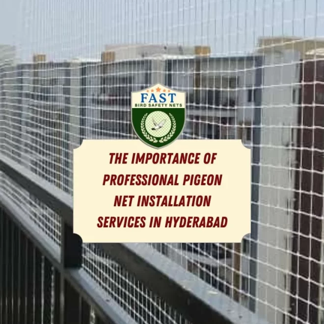 The Importance of Professional Pigeon Net Installation Services in Hyderabad