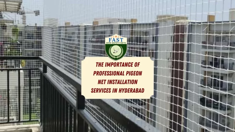 The Importance of Professional Pigeon Net Installation Services in Hyderabad