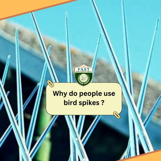 Why do people use bird spikes ?