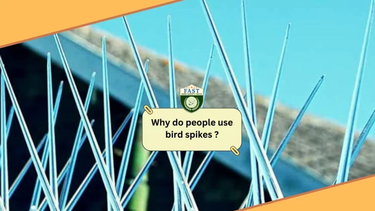Why do people use bird spikes ?
