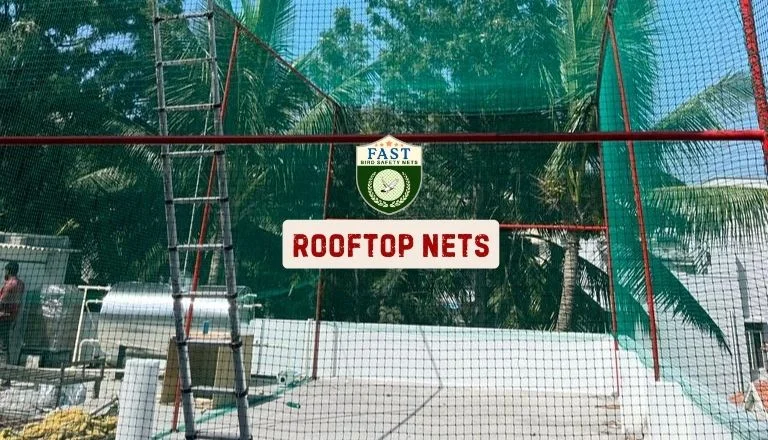 Roof Top Nets