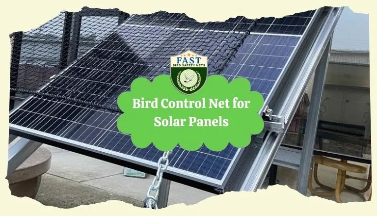 Bird Control Net for Solar Panel