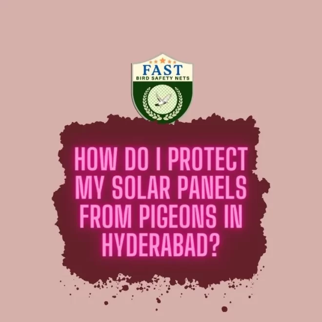 How do I protect my Solar Panels from Pigeons in Hyderabad?