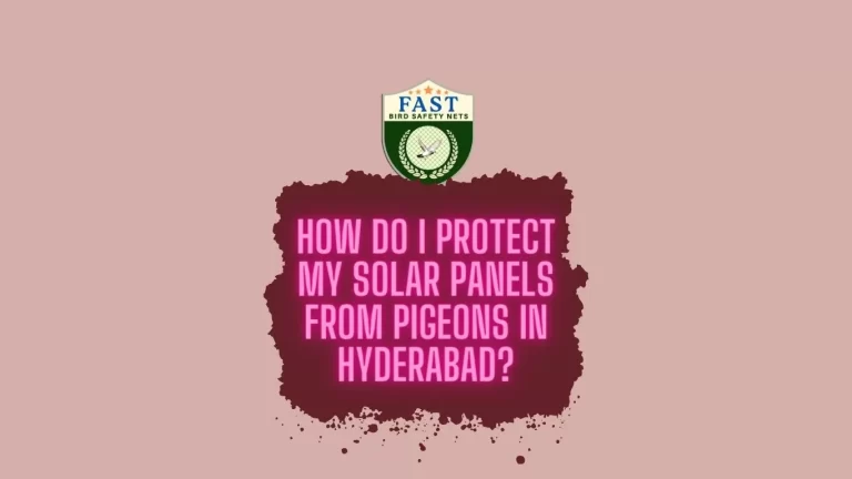 How do I protect my Solar Panels from Pigeons in Hyderabad?
