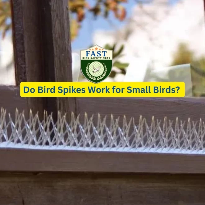 Do Bird Spikes Work for Small Birds?
