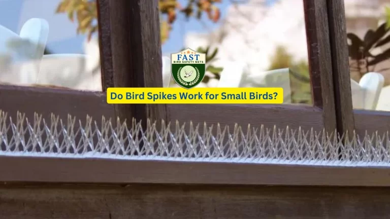 Do Bird Spikes Work for Small Birds?