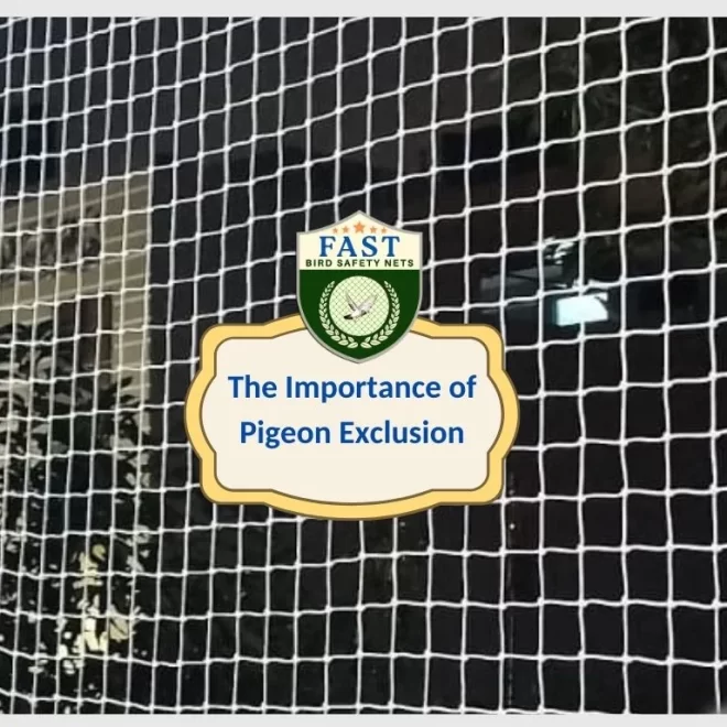 The Importance of Pigeon Exclusion