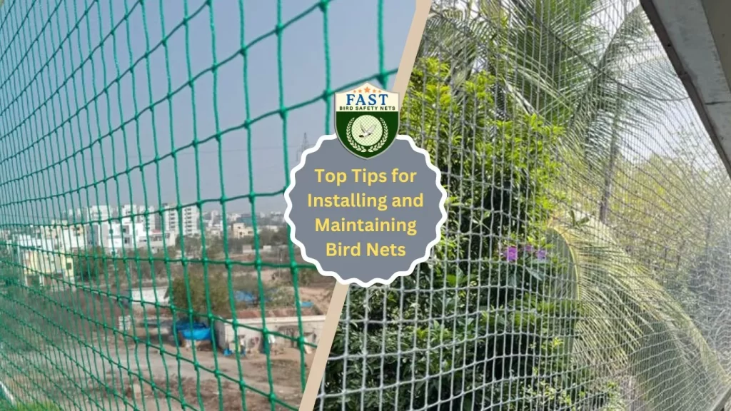 Tips for Installing and Maintaining Bird Netting