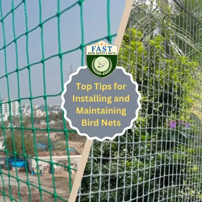 Top Tips for Installing and Maintaining Bird Nets