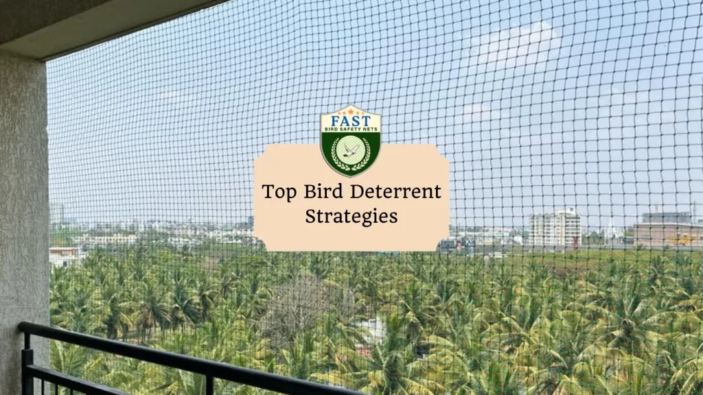 Top Bird Deterrent Strategies