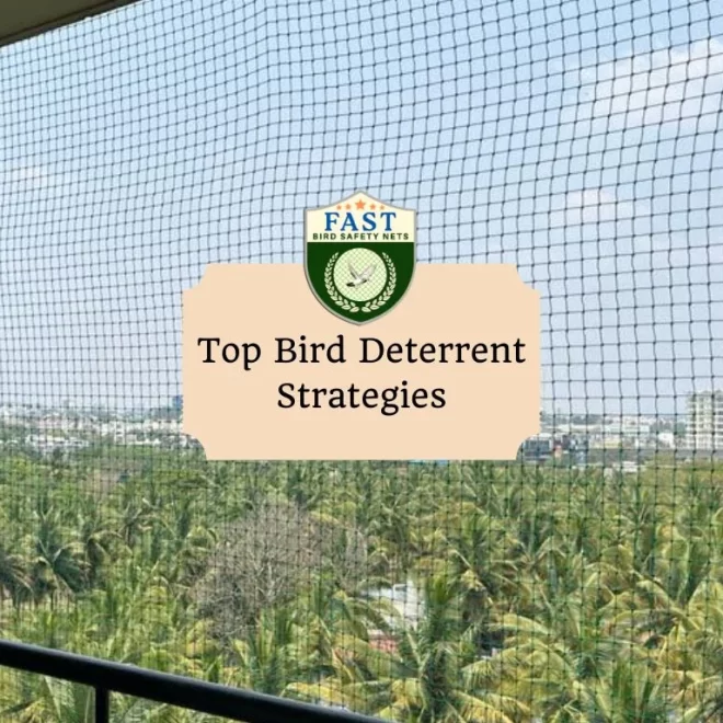 Top Bird Deterrent Strategies