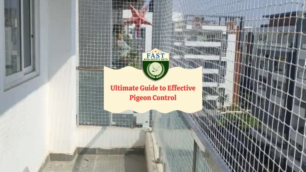 Ultimate guide to effective pigeon control