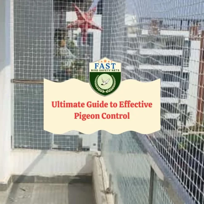Ultimate Guide to Effective Pigeon Control