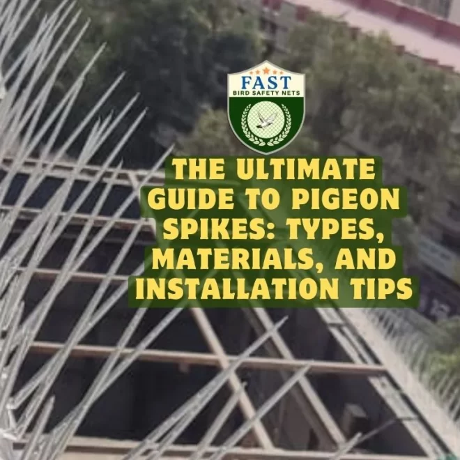 The Ultimate Guide to Pigeon Spikes: Types, Materials, and Installation Tips