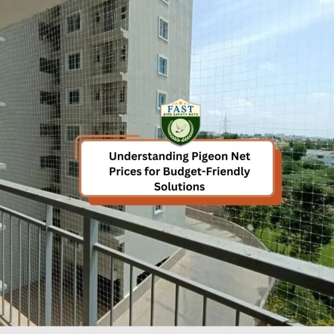 Understanding Pigeon Net Prices for Budget-Friendly Solutions