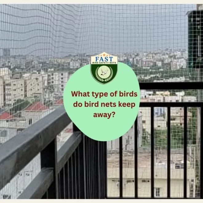 Types of Birds That Bird Nets Effectively Deter