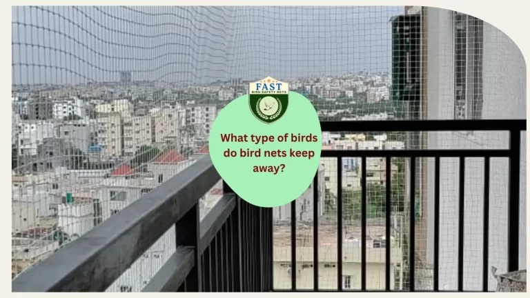 Types of Birds That Bird Nets Effectively Deter