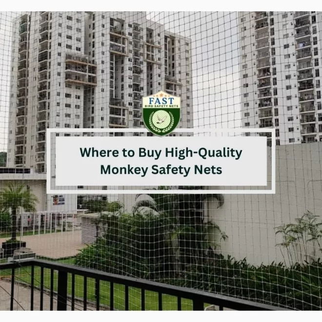Where to Buy High-Quality Monkey Safety Nets