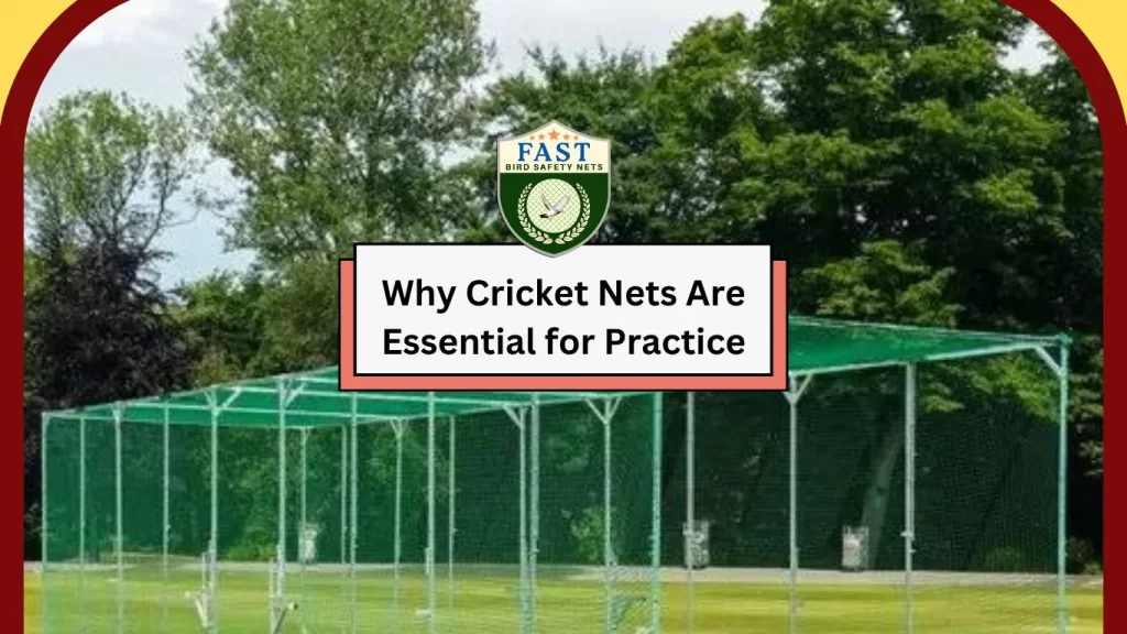 why cricket nets are essential