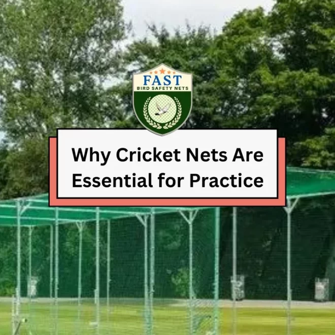 Why Cricket Nets Are Essential for Practice